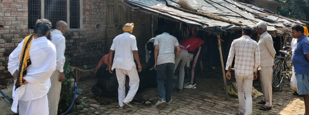 एचटी लाइन पर एलटी केबिल गिरने से घरों में दौड़ा करंट, गाय की मौत दीवारों में आईं दरारें, बिजली उपकरण जले; चारपाई पर सो रहे परिजन बाल-बाल बचे