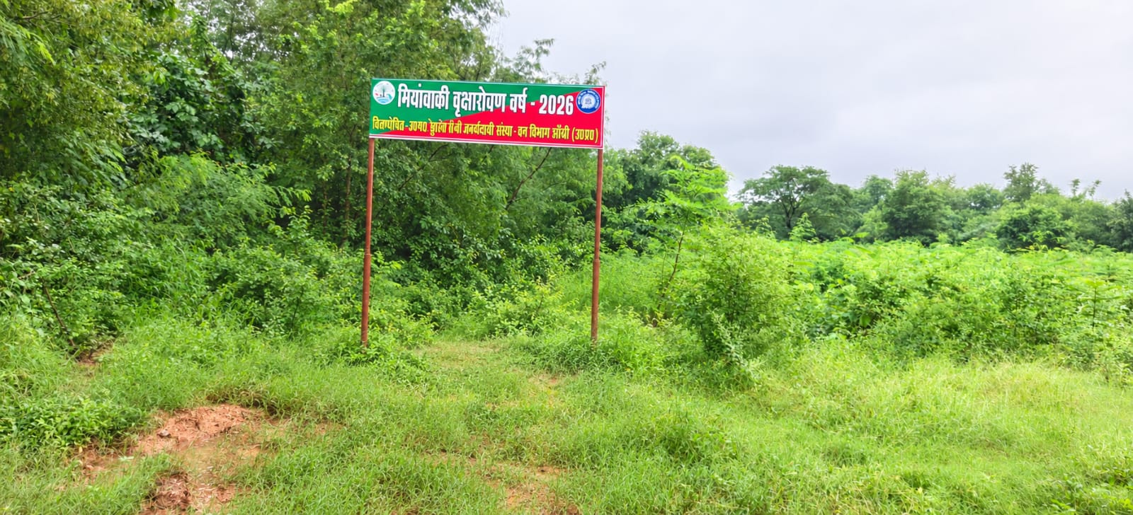मियावाकी पद्धति से झांसी में बढ़ रही हरियाली, रेलवे-वन विभाग की संयुक्त पहल से 1.15 लाख पौधों का सघन रोपण