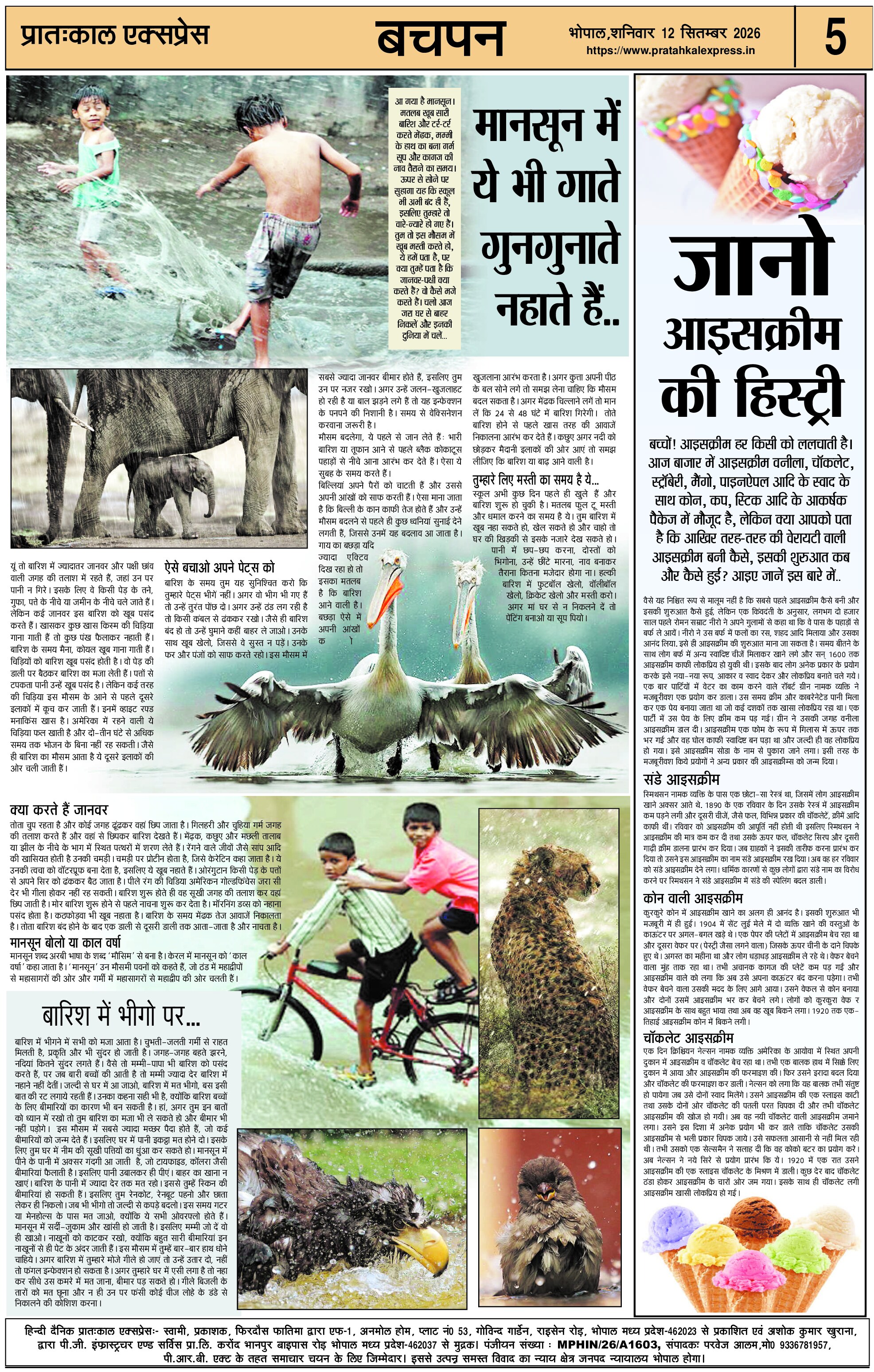 ePaper Page 5