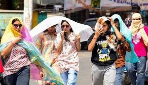 Delhi में तापमान 45 डिग्री सेल्सियस के पार, IMD ने जारी किया ऑरेंज अलर्ट