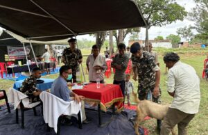 सशस्त्र सीमा बल ने लगाया नि:शुल्क पशु चिकित्सा शिविर, 101 पशु लाभांवि