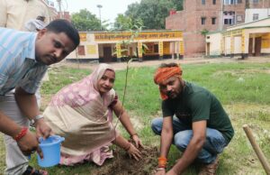 एक पेड़ माँ के नाम पर्यावरण संरक्षण की ओर एक भावुक पहल