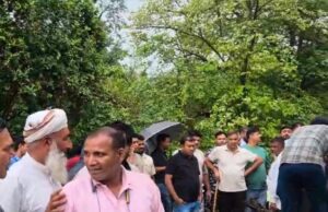 दून हाईवे पर पेड़ गिरने से करीब दो घंटे आवागमन रहा बाधित