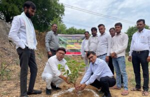 विश्व पर्यावरण दिवस पर नगर पालिका द्वारा किया गया वृक्षा रोपण