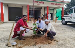 स्टेटस नहीं वृक्ष लगाने से आएगी हरियाली: राजेश प्रभाकर सिंह