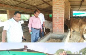 बीडीओ मंगरौरा ने अस्थायी गौशाला चन्द्रभानपुर एवं पूरबपट्टी का किया निरीक्षण