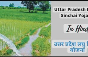 लघु सिंचाई विभाग की संचालित योजनाओं का उठाये लाभ, करें आनलाइन आवेदन