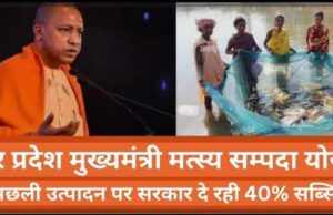 मुख्यमंत्री मत्स्य सम्पदा योजना का उठाये लाभ, 30 जून तक करें ऑनलाइन आवेदन