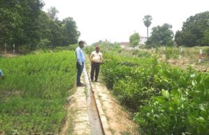 बीडीओ कालाकांकर ने बहादुर का पुरवा व हिनाहू में संचालित पौधशाला का किया निरीक्षण