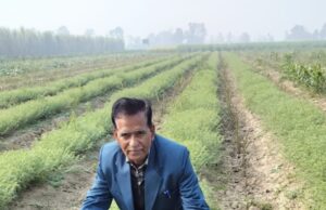 हल्दी की खेती से किसान आठ माह में एक एकड़ खेत से कमा रहे डेढ़ लाख से अधिक का लाभ:ओमप्रकाश गुप्ता