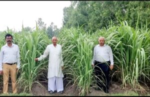 बड़ी फसल में ड्रोन से दवाई स्प्रे करना होता है अधिक कारगर:उप गन्ना आयुक्त