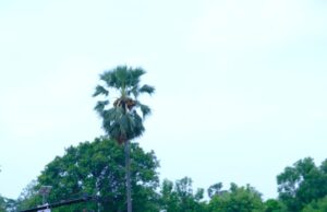 योग जीवन को सुखमय बनाने का मूल श्रोत यह ऋषियों व मुनियों की अदभुत खोज भी है:डीएम