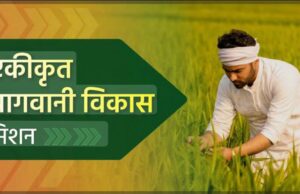 किसान एकीकृत बागवानी विकास मिशन योजना का उठाये लाभ, करें आवेदन