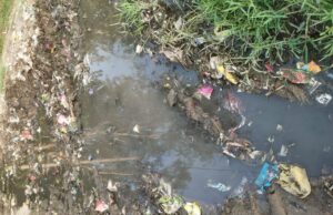 कागजों पर स्वच्छता अभियान, गांवों में गंदगी का अंबार, जगह-जगह लगे कूड़ो के ढ़ेर