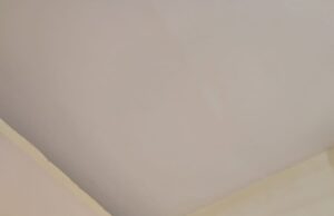 एसएचओ ने बुजुर्ग की मदद कर दिखाई असली पुलिसिंग की तस्वीर