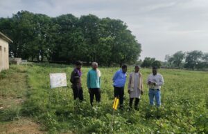 किसानों को दलहनी फसलों के लाभ के बारे में प्रोत्साहन कर दी जानकारी