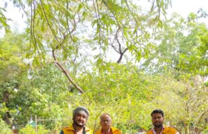 सिविल डिफेंस के वार्डन्स ने किया पौधा रोपण