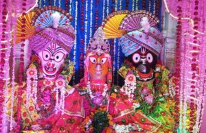 पुष्य नक्षत्र में निकली भगवान जगन्नाथ की भव्य रथयात्रा