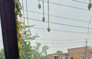 उद्योगपति वीरेन्द्र राय भाजपा में हुए शामिल