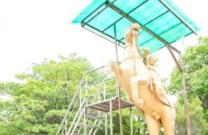 बलिदान दिवस पर बीयू में रानी लक्ष्मीबाई को पुष्पांजलि अर्पित की गई