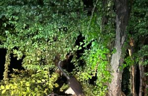 गुरैनी पेट्रोल पंप के पास भीषण सड़क हादसा, ट्रैक्टर चालक की मौत, दो गंभीर घायल