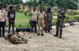 दो जंगली सुअर मृत व एक कछुआ के साथ दो नेपाली गिरफ्तार, अन्य फरार