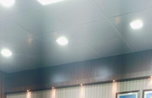 ऑनलाइन हाजिरी की समस्याओं का शीघ हो निराकरण:डाo हरि प्रकाश यादव