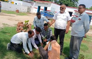 खण्ड शिक्षा अधिकारी ने कार्यालय कैम्पस में किया बृक्षारोपण