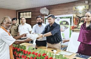 वृक्षारोपण कार्य में दिखावा न हो:मंडलायुक्त