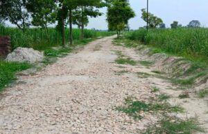 आज़ादी के दशकों बाद भी पक्की सड़क जैसी बुनियादी सुविधा से वंचित,बरहिमा टोला