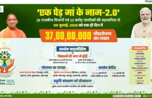 जनपद में वृक्षारोपण महाअभियान के तहत 43 लाख से अधिक पौधारोपण का लक्ष्य