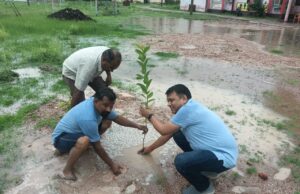 सामुदायिक स्वास्थ्य केंद्र अधीक्षक डॉ दिनेश सिंह ने किया वृक्षारोपण