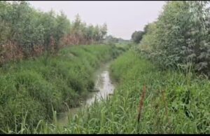 हैवरा नाले की सफाई में अनियमितता, ठेकेदार की मनमानी से ग्रामीणों मे रोष