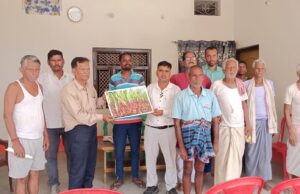 सावन में सूख रहा धान, गन्ना फसल में आई हरियाली