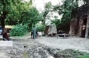 रायगढ़ गांव की सड़कें गड्ढों में तब्दील, ग्रामीण परेशान