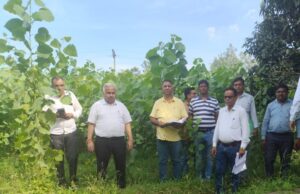 40 दिन तक गन्ना विभाग किसान कार्यक्रम में होगा गन्ना सट्टा सर्वे प्रदर्शन कार्यक्रम