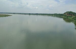 औरैया में लगातार बढ़ रहे जलस्तर से यमुना किनारे बसे लोगों में दहशत