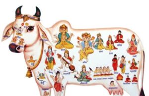 गाय और विज्ञान से जुड़ें,आयुर्वेदिक दृष्टि में गाय का महत्त्व