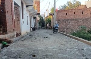 इटावा विकास कॉलोनी में जनता ने इंटरलॉकिंग गली की जांच की मांग