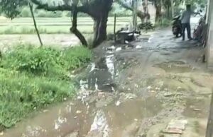बगला दिलीपनगर में रोड पर भरा बारिश का पानी,ग्रामीण लोग परेशान
