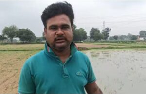 दबँगो ने किसान की चार बीघा बाजरे की फसल की बर्बाद