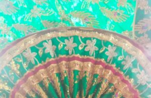 सिद्धपीठ ठड़ेश्वरी मन्दिर में भगवान राम लला के झूला महोत्सव का हुआ शुभारंभ