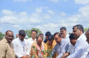 एक हजार से अधिक फलदार पौधे रोपे गए