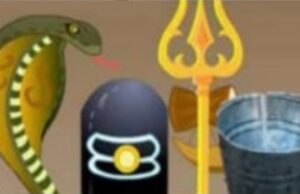 मानव कल्याण से जुडी है नाग पंचमी की पूजा