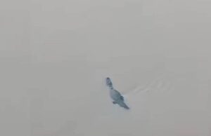 बेतवा तट पर दिखा मगरमच्छ, दहशत में लोग