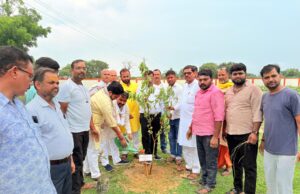 पेड़-पौधे पृथ्वी का हृदय हैं,जो धरती पर साक्षात ईश्वर रूप में विद्यमान है:ओम प्रकाश