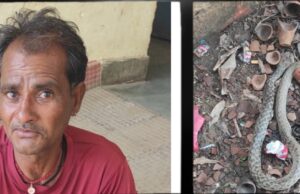 सफाई कर रहे युवक को सांप ने काटा बोरी में भर कर अस्पताल पहुंचा