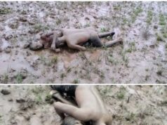 रुला देगी ये तस्वीर… नदी में आया ऊफान, खेत तक जा पहुंचा पानी, डूबने से बाप-बेटे की मौत