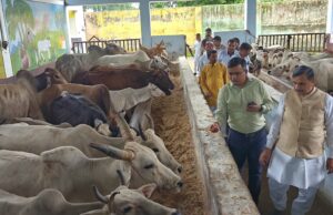 महापौर एवं नगर आयुक्त ने गौ आश्रय स्थल नन्दीशाला का किया निरीक्षण