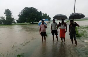 नाला-नाली न होने से खेतों व घरों में घुसा बारिश का पानी